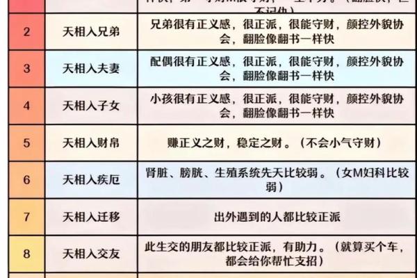紫薇斗数代表什么