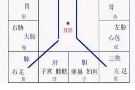 紫微斗数天马星之十二宫释义