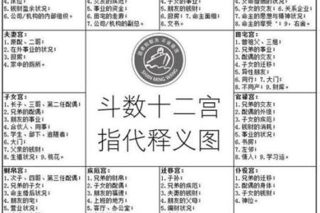 紫薇斗数看两人怎么认识的