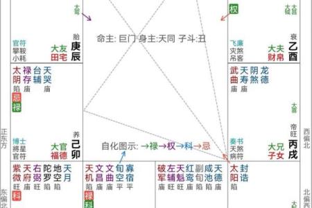 紫薇斗数流出忌