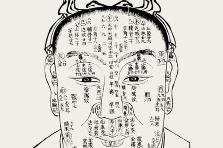 摸骨算命：详解三种额头骨形