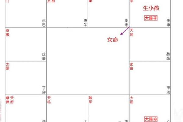 紫薇斗数壬干格局
