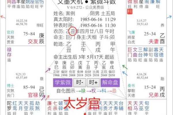 紫薇斗数命盘会照