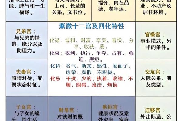 紫薇斗数网上命例