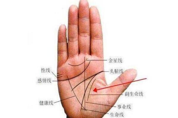 图解：手相障碍线算命
