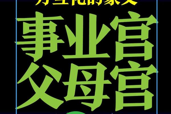 紫薇斗数事业有成
