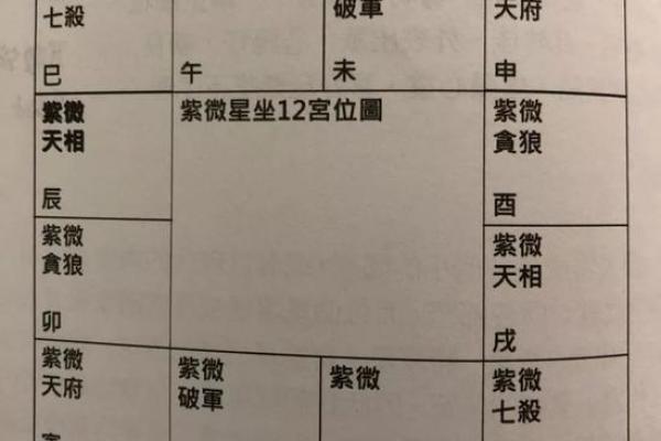 紫薇斗数事业有成