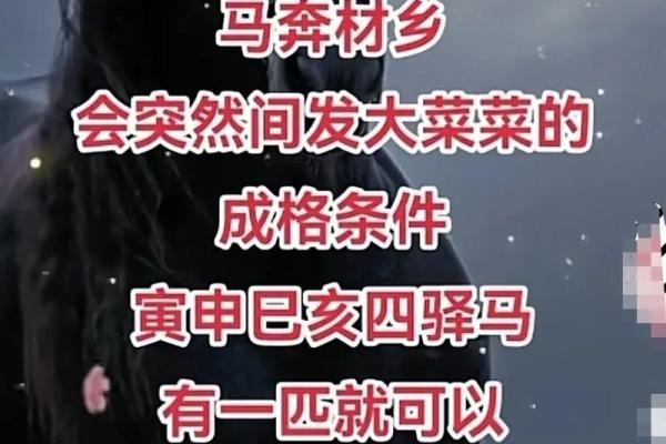 马宝宝八字