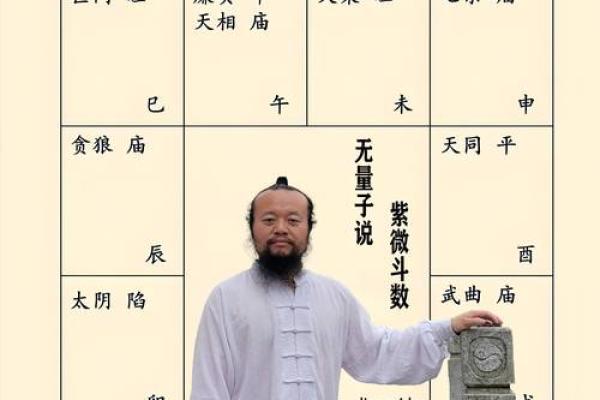 如何学好紫薇斗数
