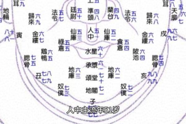 八字人生运势曲线图