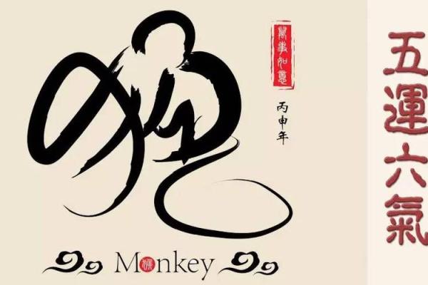丙申年紫微斗数 丙申年运？