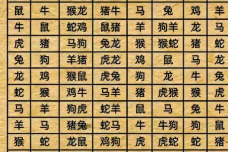 属相配对算命
