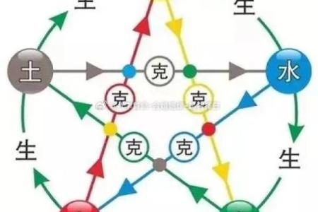 【八字看擅长领域】你的命理学大揭秘，解码你擅长的事业领域！