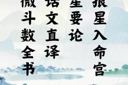 紫薇斗数看谁书籍