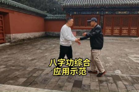 形意拳八字功