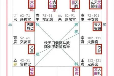 紫薇星斗数排盘准吗