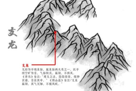 风水中12种龙脉的种类与其吉凶
