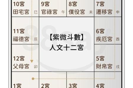 紫薇斗数怎么看命理正缘