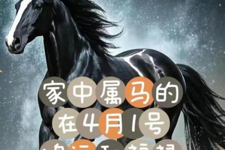 马宝宝八字
