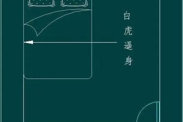 白虎在八字中代表什么意思 白虎八字代表何意