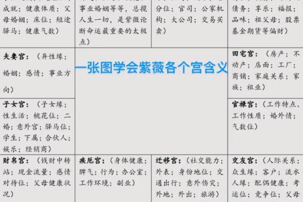 紫微斗数大限紫薇天相 紫微斗数大限排盘实验室？