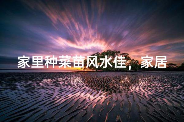 新房子前面种菜可以吗风水