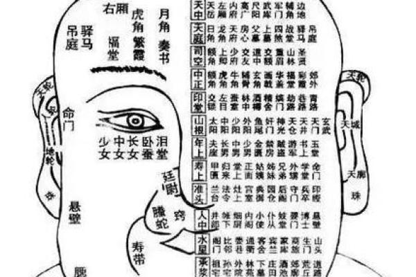算命金口诀