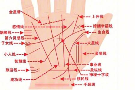 五角星手纹算命图解 五角星手纹手相