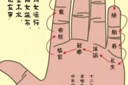 八字胎养