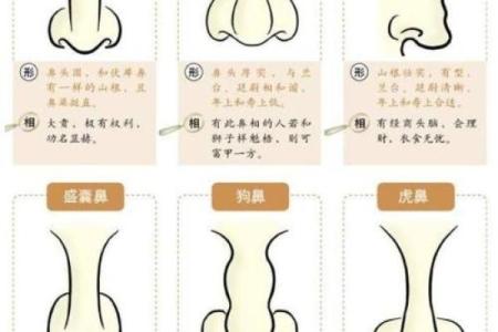 肩膀算命大全