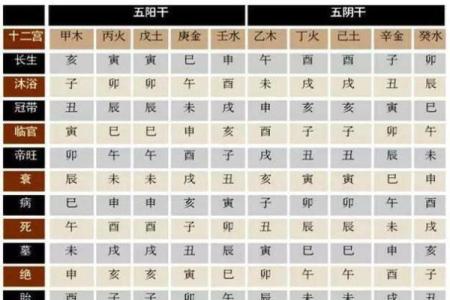 壬辰日柱八字详解