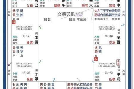 性格宫紫薇斗数