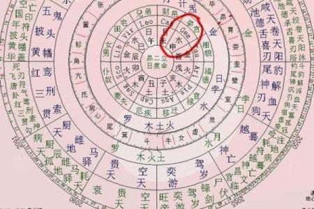 紫微斗数之天干地支