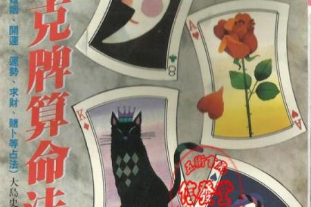 那种算命的牌叫什么
