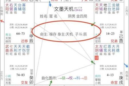 紫薇破军入疾厄宫的