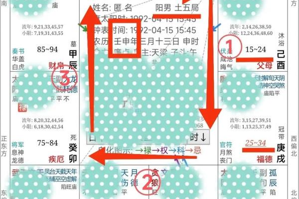 台湾紫微斗数小限派 紫微斗数小限排盘？