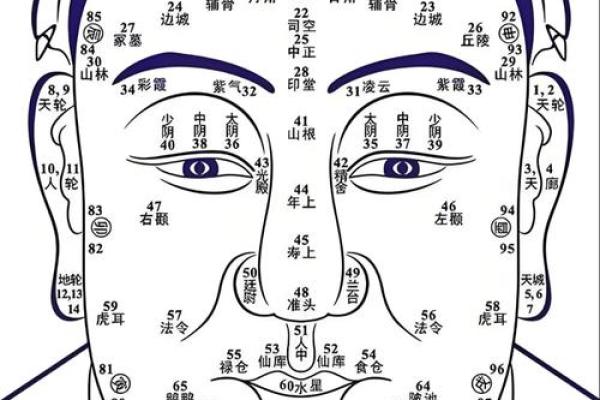 看脸上胎记算命知命运