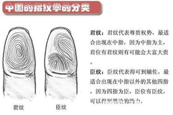 指纹算命,十个斗手指纹算命图解
