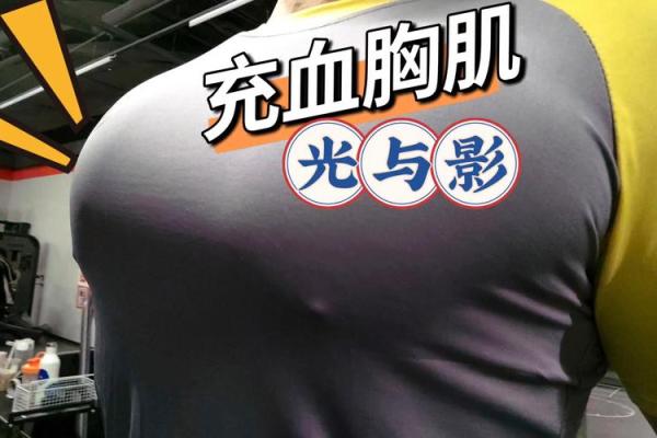 八字胸肌