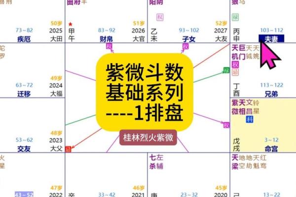 紫薇斗数真假
