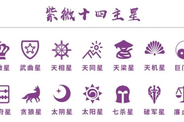 紫薇斗数查命星