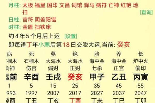 八字十二地支详解