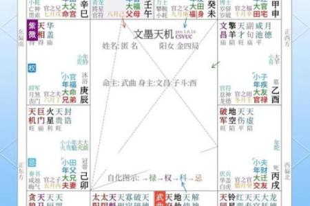 紫微财运曲线 紫微斗数测财运神巴巴？