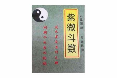 民间紫薇斗数高手
