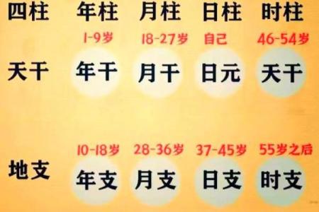 生辰八字其名