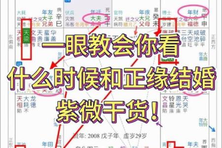 紫薇斗数能测什么