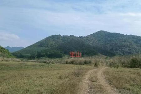 风水的水_房子南面有山北面有水好吗