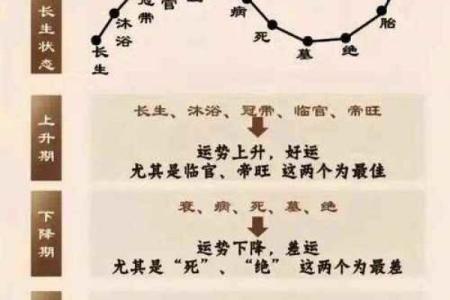 怎么学八字算命