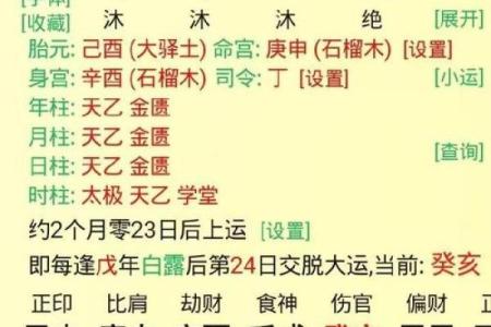 八字排盘解盘