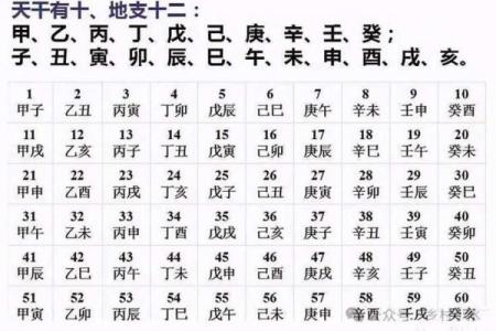 生辰八字自动计算器,生辰八字的时柱怎么推算？
